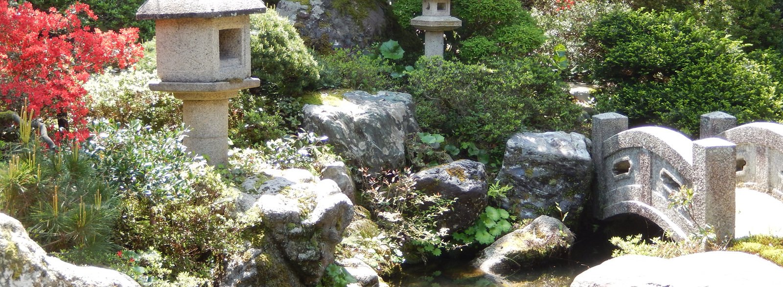 蔵六園メイン画像