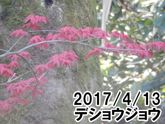 デショウジョウ